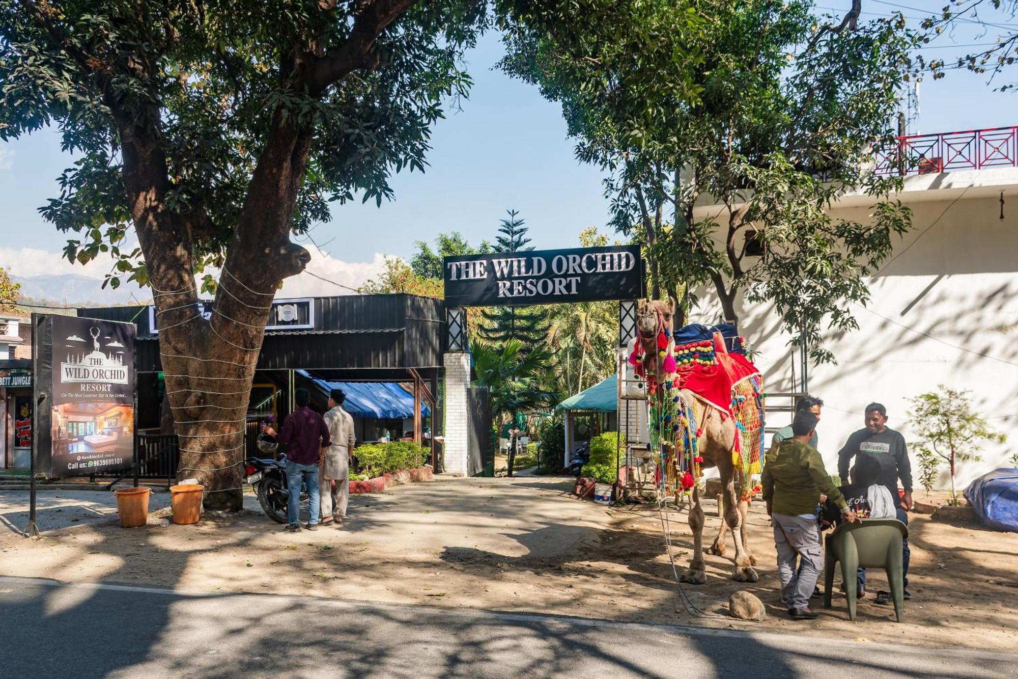 The Wild Orchid Resort Corbett Ramnagar  Εξωτερικό φωτογραφία